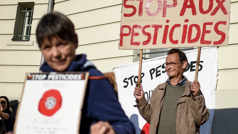 Une manifestation anti-pesticides  (photo d'illustration)