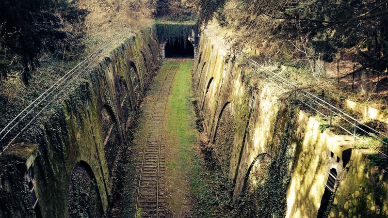 De nouveaux tronçons de la Petite ceinture vont être ouverts au public. 