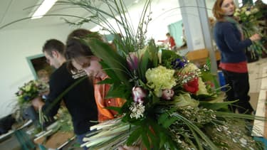 Les demandes de stage se concentrent principalement sur les métiers de fleuriste et de boulanger-pâtissier.