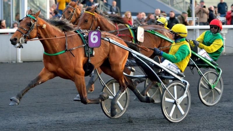 JLL-LeTrot