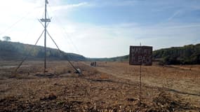 La zone humide du Testet, près du site du projet du barrage de Sivens, dans le Tarn.