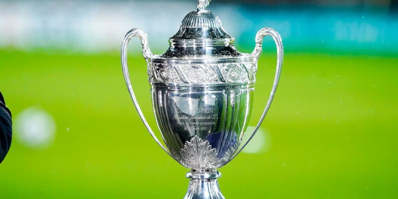 Le trophée de la Coupe de France
