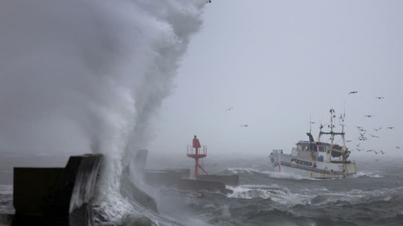 Après la neige, la tempête Goretti va frapper la France dès jeudi avec des vents allant jusqu'à 140 km/h