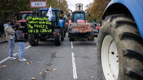Des agriculteurs manifestent à Toulouse (Haute-Garonne), le 22 novembre 2023