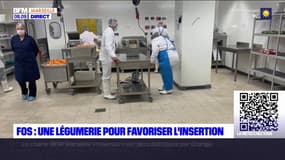 Fos-sur-mer: une légumerie pour favoriser l'insertion professionnelle
