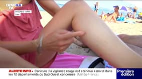 Citron, répulsif anti-moustique ... comment vous protéger efficacement des moustiques?