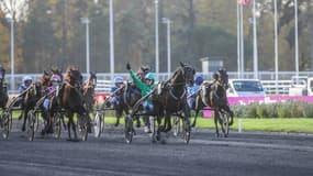 12 des 18 partants ont participé au Prix de Bretagne - Amérique Races PMU Q1