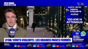Vents violents: les grands parcs et les cimetières fermés ce jeudi à Lyon