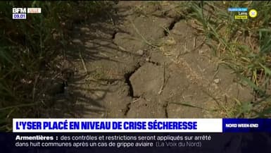 Le bassin de l'Yser placé en crise sécheresse