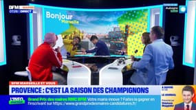 Votre premier rendez-vous BFM Marseille & vous. 