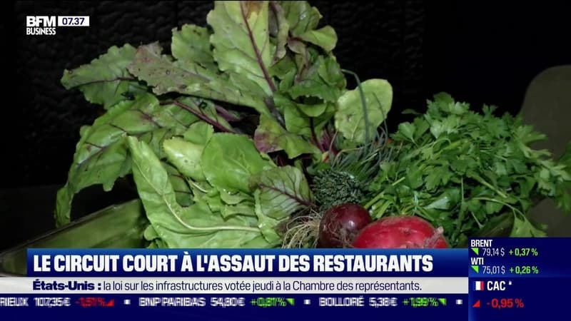 Impact : Le circuit court à l'assaut des restaurants, par Cyrielle Hariel - 27/09