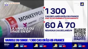 Variole du singe: 1300 cas en Île-de-France