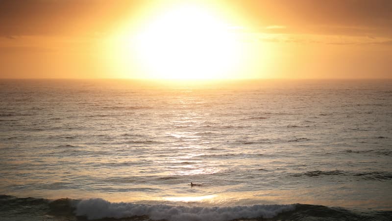 Un exploit "surhumain": un adolescent australien de 13 ans nage quatre kilomètres pour sauver sa famille perdue en mer