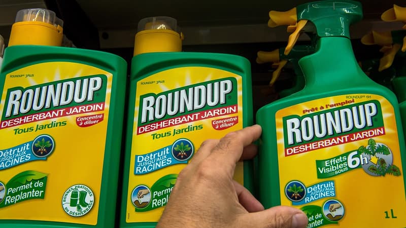 Ce désherbant contenant du glyphosate commercialisé par Monsanto