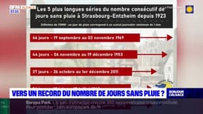 Alsace: vers un record du nombre de jours sans pluie?