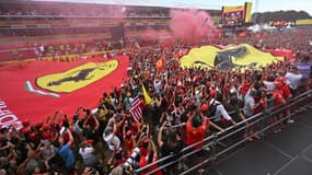 Des supporteurs de Ferrari, à Monza le 1er septembre 2014