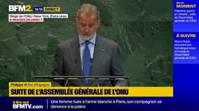 "La reconnaissance de la Palestine doit aider à garantir une paix juste et définitive", déclare le roi d'Espagne à l'ONU