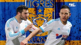 OM : Le vice-président des Tigres évoque le rôle "fondamental" de Gignac pour faire venir Thauvin