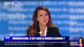 Immigration: "Quand on est en situation irrégulière et qu'on commet un délit, on doit partir" pour Sabrina Agresti-Roubache (Renaissance)