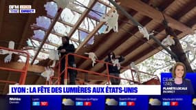 Lyon: 400 oiseaux lumineux pour la Fête des lumières au quartier des Etats-Unis