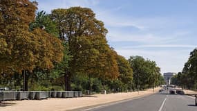 Vue de l'avenue Foch, qui pourrait devenir piéton