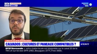Calvados: des communes s'opposent à un projet de ferme photovoltaïque