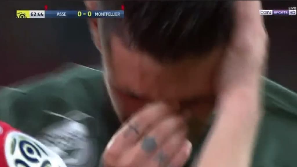 Cabella Cabella