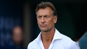 Hervé Renard lors de France-Brésil, le 03/08/2024, aux JO de Paris