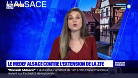Le Medef Alsace saisi le tribunal Administratif contre l'extension de la Zone à faibles émissions