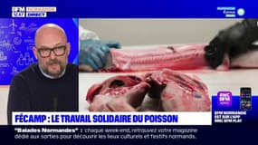 Fécamp: le travail solidaire du poisson