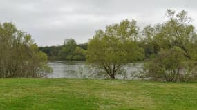 La Seine à Méricourt (Yvelines).
