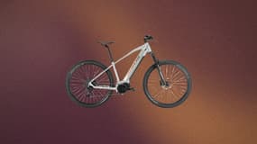 Comment expliquer cette baisse de 500 euros sur le prix de ce vélo électrique chez Intersport ?