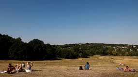 Des personnes s'assoient sur l'herbe séchée dans le parc de Hampstead Heath, à Londres, le 13 août 2022.