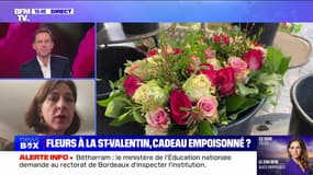 Fleur à la St-Valentin, cadeau empoisonné ? - 14/02