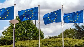 Les élections européennes se tiendront dans les 28 pays de l'UE entre le 22 et le 25 mai prochain
