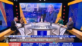 Marine Le Pen inéligible : "Je trouve ça lamentable !" 