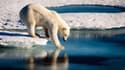 "Du jamais vu depuis 1000 ans!": la banquise d'été de l'Arctique au deuxième plus bas niveau jamais observé