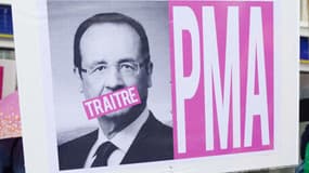 Une pancarte pour la PMA lors de la Gay pride en juin 2014 à Paris (illustration)