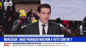 Pour Gaspard de Monclin, avocat spécialisé en fonds d'investissement, l'accord Mercosur "n'est pas si dévastateur"