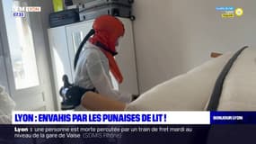 Lyon: comment faire face à une invasion de punaises de lit chez soi?