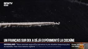 Près d'un adulte sur dix a déjà expérimenté la cocaïne en France