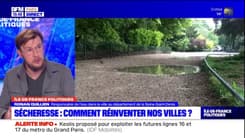 Sécheresse en Île-de-France: "repenser" les villes pour préserver l'eau