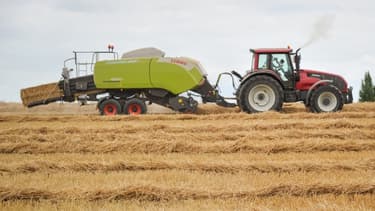 La production de blé tendre est estimée à 29,7 millions de tonnes en chute libre en un an (-24,9% par rapport à 2019 et -15,9% par rapport à la moyenne 2015-2019).