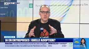 Culture IA : IA en entreprises, quelle adoption ?, par Anthony Morel - 11/02