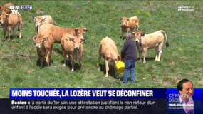 Avec un seul décès dû au coronavirus, la Lozère veut accélérer son déconfinement