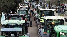 Manifestation d'agriculteurs à Rennes, le 1er février 2024 en Ille-et-Vilaine (image d'illustration)