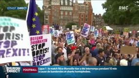 "Je suis là pour défendre notre démocratie", un million de britanniques dans la rue pour manifester contre la décision de Boris Johnson de suspendre le Parlement 