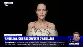 Angelina Jolie recouverte d'abeilles pour dénoncer leur disparition