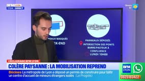 Colère des agriculteurs: les mobilisations reprennent dans les Bouches-du-Rhône
