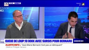 Affaire de la queue de loup: une décision "en demi-teinte" pour l'avocat de Jean-Marie Bernard